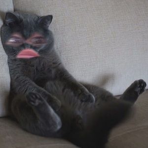 Meet your Posher, Layla